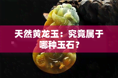 天然黄龙玉：究竟属于哪种玉石？