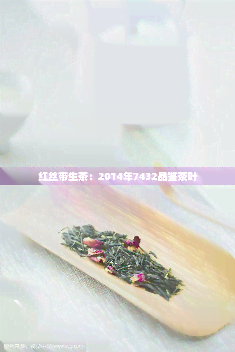 红丝带生茶：2014年7432品鉴茶叶