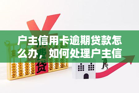 户主信用卡逾期贷款怎么办，如何处理户主信用卡逾期贷款？