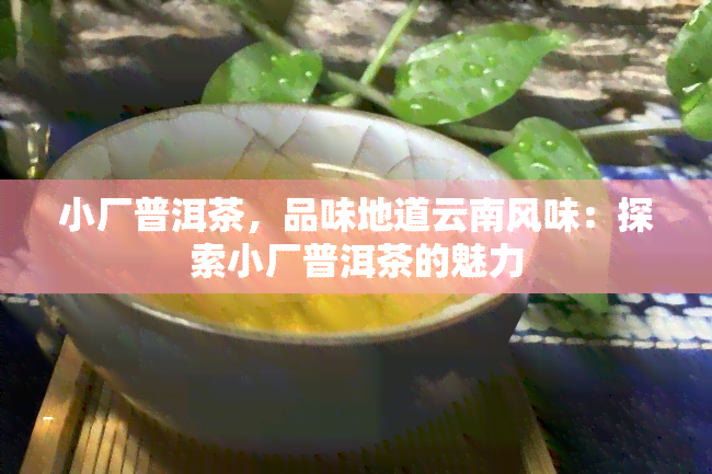 小厂普洱茶，品味地道云南风味：探索小厂普洱茶的魅力