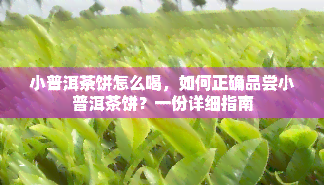 小普洱茶饼怎么喝，如何正确品尝小普洱茶饼？一份详细指南