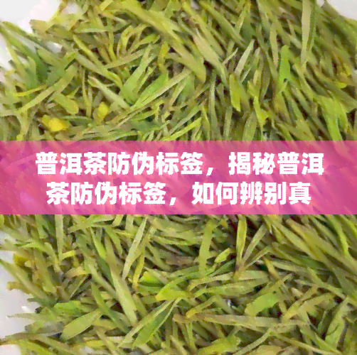 普洱茶防伪标签，揭秘普洱茶防伪标签，如何辨别真伪？