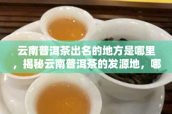 云南普洱茶出名的地方是哪里，揭秘云南普洱茶的发源地，哪个地方最为出名？