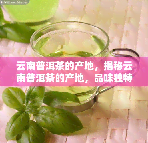 云南普洱茶的产地，揭秘云南普洱茶的产地，品味独特的茶香世界