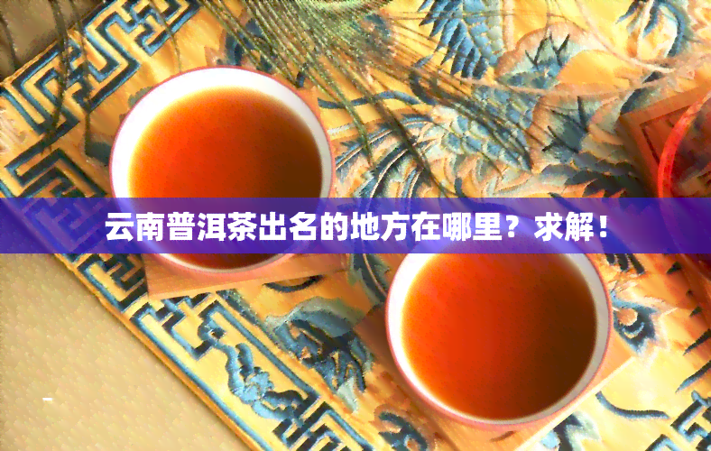 云南普洱茶出名的地方在哪里？求解！