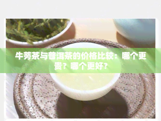 牛蒡茶与普洱茶的价格比较：哪个更贵？哪个更好？