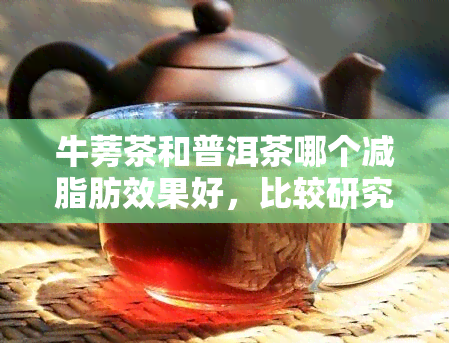 牛蒡茶和普洱茶哪个减脂肪效果好，比较研究：牛蒡茶与普洱茶的减肥效果哪个更优？