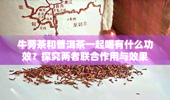 牛蒡茶和普洱茶一起喝有什么功效？探究两者联合作用与效果