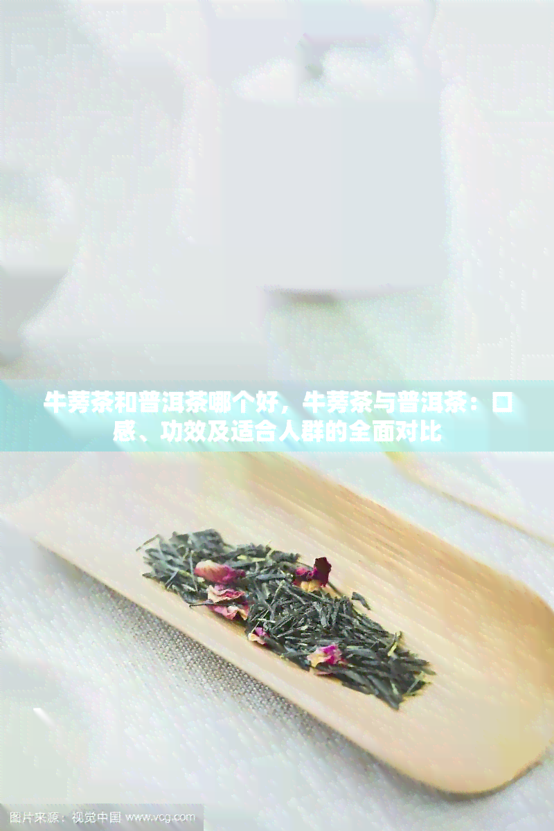 牛蒡茶和普洱茶哪个好，牛蒡茶与普洱茶：口感、功效及适合人群的全面对比