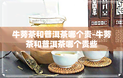 牛蒡茶和普洱茶哪个贵-牛蒡茶和普洱茶哪个贵些