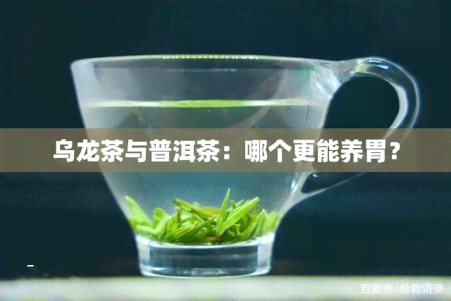 乌龙茶与普洱茶：哪个更能养胃？