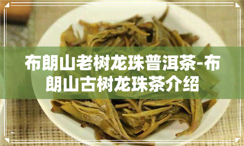 布朗山老树龙珠普洱茶-布朗山古树龙珠茶介绍