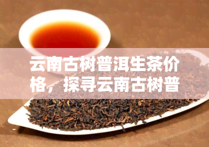 云南古树普洱生茶价格，探寻云南古树普洱生茶的市场价格