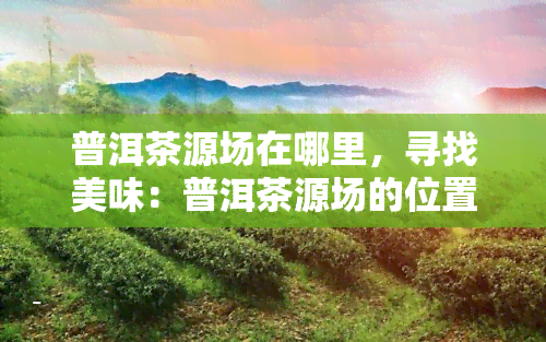 普洱茶源场在哪里，寻找美味：普洱茶源场的位置解析