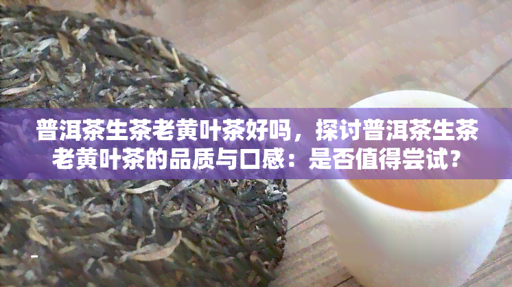 普洱茶生茶老黄叶茶好吗，探讨普洱茶生茶老黄叶茶的品质与口感：是否值得尝试？