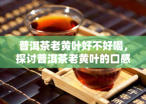 普洱茶老黄叶好不好喝，探讨普洱茶老黄叶的口感：是否好喝？