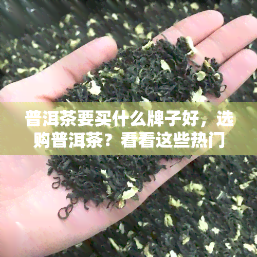 普洱茶要买什么牌子好，选购普洱茶？看看这些热门是否适合你！