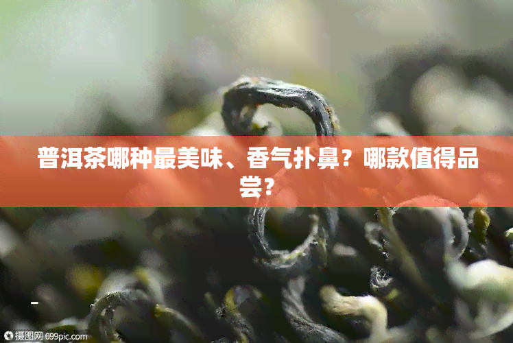 普洱茶哪种最美味、香气扑鼻？哪款值得品尝？