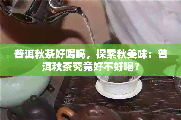 普洱秋茶好喝吗，探索秋美味：普洱秋茶究竟好不好喝？