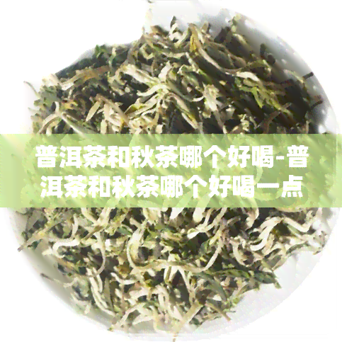 普洱茶和秋茶哪个好喝-普洱茶和秋茶哪个好喝一点