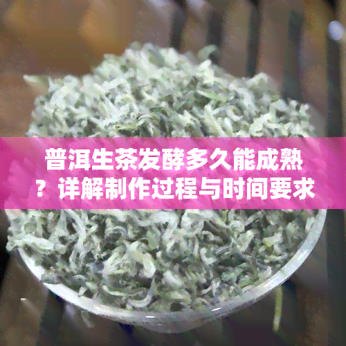 普洱生茶发酵多久能成熟？详解制作过程与时间要求