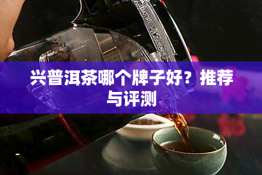 兴普洱茶哪个牌子好？推荐与评测