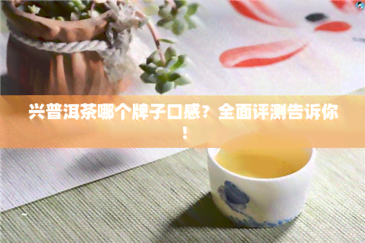 兴普洱茶哪个牌子口感？全面评测告诉你！