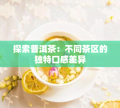 探索普洱茶：不同茶区的独特口感差异