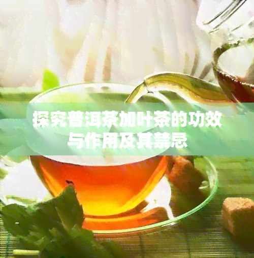 探究普洱茶加叶茶的功效与作用及其禁忌