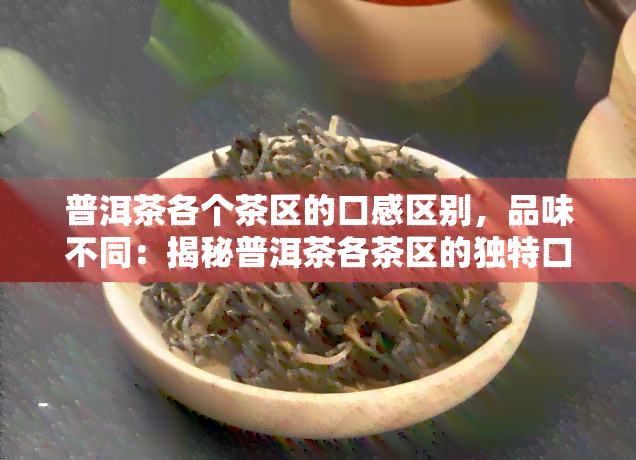 普洱茶各个茶区的口感区别，品味不同：揭秘普洱茶各茶区的独特口感