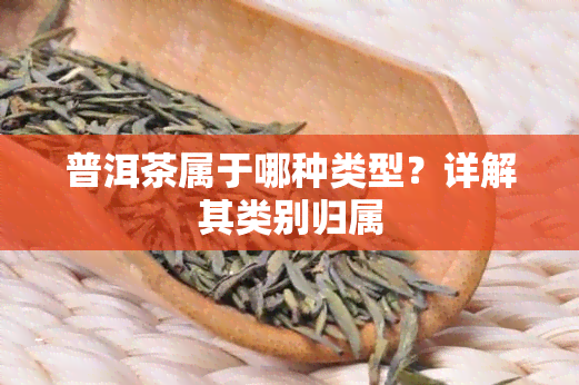 普洱茶属于哪种类型？详解其类别归属