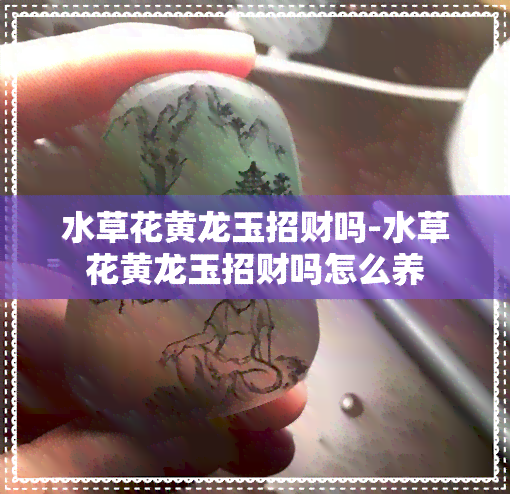 水草花黄龙玉招财吗-水草花黄龙玉招财吗怎么养