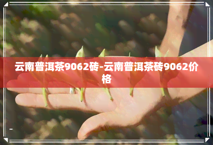 云南普洱茶9062砖-云南普洱茶砖9062价格