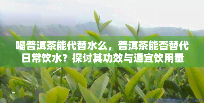 喝普洱茶能代替水么，普洱茶能否替代日常饮水？探讨其功效与适宜饮用量