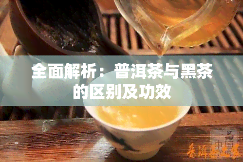 全面解析：普洱茶与黑茶的区别及功效