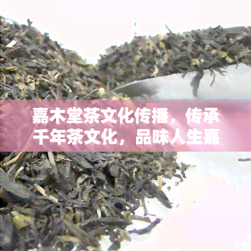 嘉木堂茶文化传播，传承千年茶文化，品味人生嘉木香——嘉木堂茶文化传播