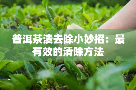 普洱茶渍去除小妙招：最有效的清除方法