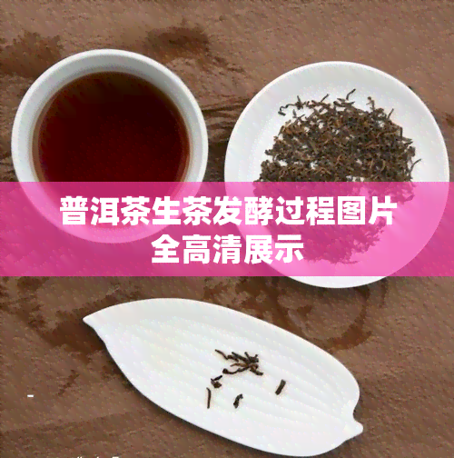 普洱茶生茶发酵过程图片全高清展示