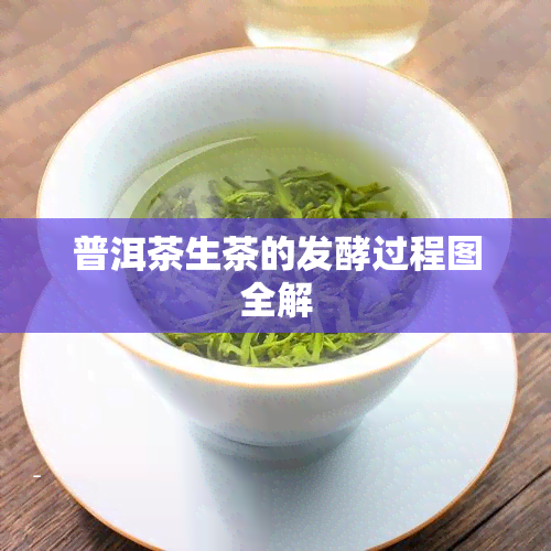 普洱茶生茶的发酵过程图全解