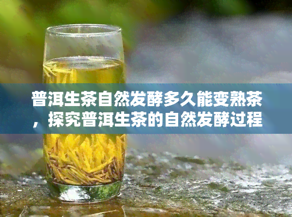 普洱生茶自然发酵多久能变熟茶，探究普洱生茶的自然发酵过程，了解其转变为熟茶的时间