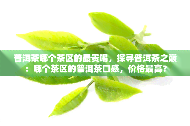 普洱茶哪个茶区的最贵喝，探寻普洱茶之巅：哪个茶区的普洱茶口感，价格更高？