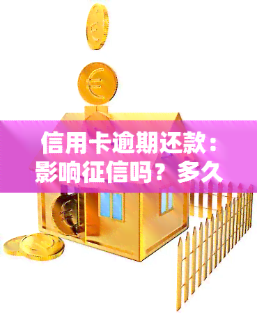 信用卡逾期还款：影响吗？多久能恢复？