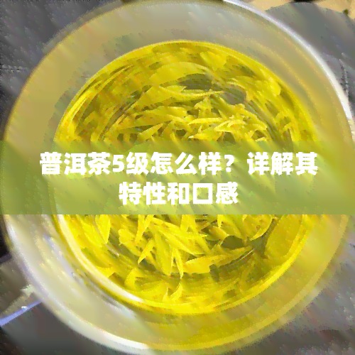 普洱茶5级怎么样？详解其特性和口感