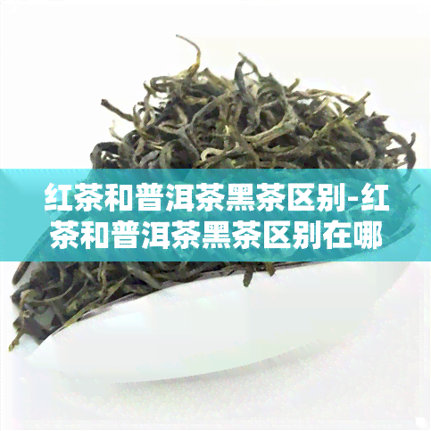 红茶和普洱茶黑茶区别-红茶和普洱茶黑茶区别在哪