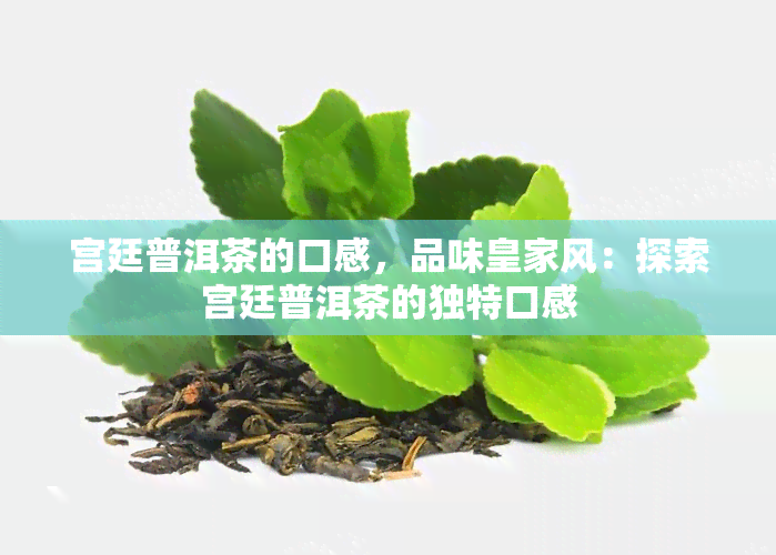 宫廷普洱茶的口感，品味皇家风：探索宫廷普洱茶的独特口感