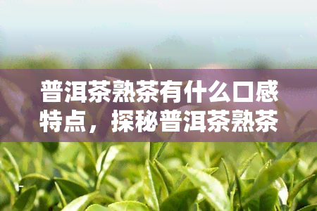 普洱茶熟茶有什么口感特点，探秘普洱茶熟茶的口感特点