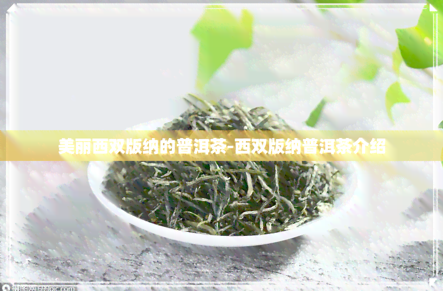 美丽西双版纳的普洱茶-西双版纳普洱茶介绍