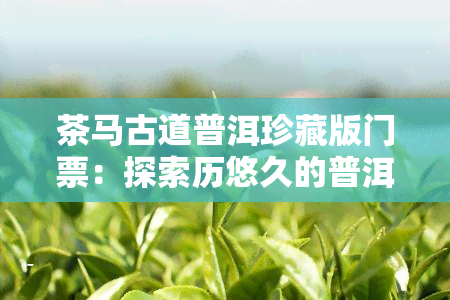 茶马古道普洱珍藏版门票：探索历悠久的普洱茶文化之旅