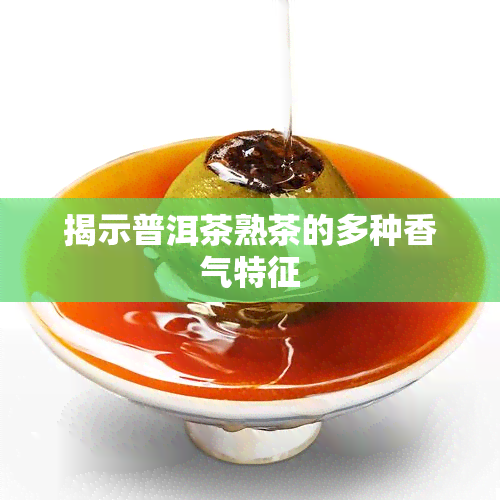 揭示普洱茶熟茶的多种香气特征