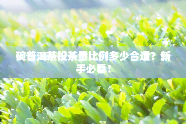 碗普洱茶投茶量比例多少合适？新手必看！